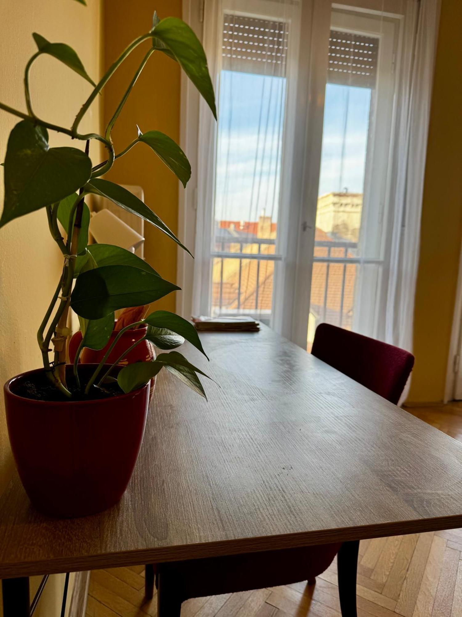 Extralarge Queen Room In The Heart Of Bratislava With Terrace Extérieur photo